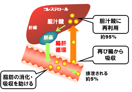 どのような症状がありますか?