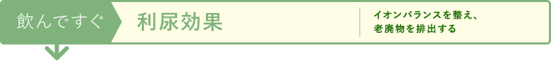飲んですぐ 利尿効果 イオンバランスを整え、老廃物を排出する