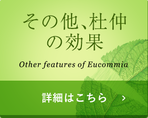 その他、杜仲の効果　詳細はこちら