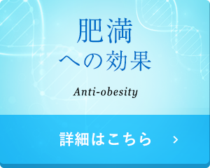 肥満への効果 Anti-obesity 詳細はこちら