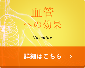 血管への効果 Vascular 詳細はこちら